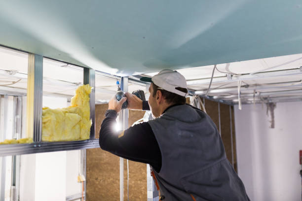Professional Insulation Contractor in Langdon, ND