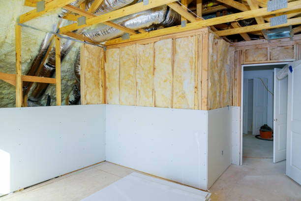 Best Geographic-Specific Insulation Services in Langdon, ND