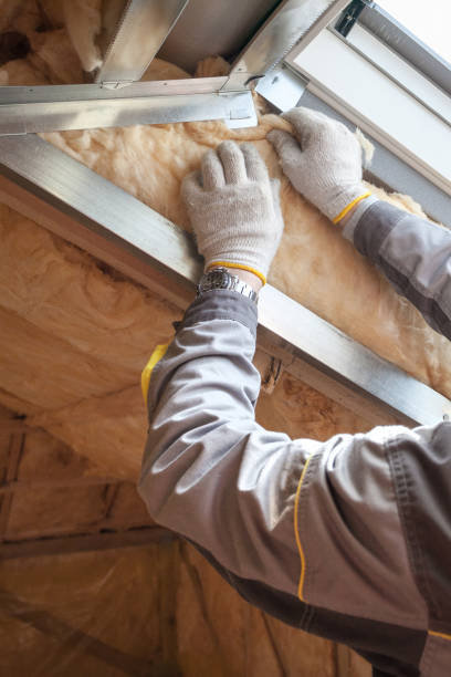 Best Cellulose Insulation in Langdon, ND