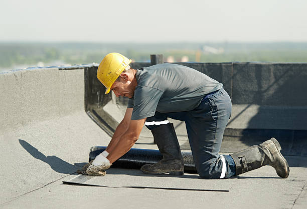 Best DIY Insulation Kits and Guidance in Langdon, ND