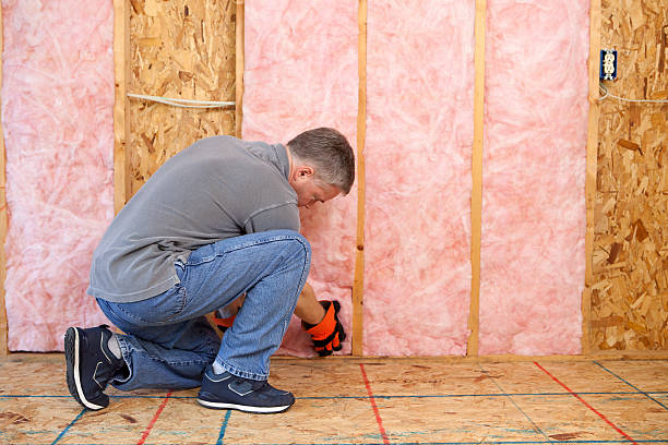 Best Spray Foam Insulation in Langdon, ND