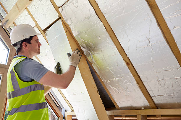 Best Eco-Friendly Insulation in Langdon, ND