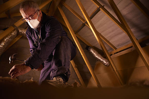 Best Insulation Maintenance and Repair in Langdon, ND